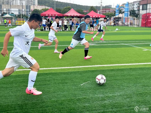 小球赛, amp 小球赛, amp