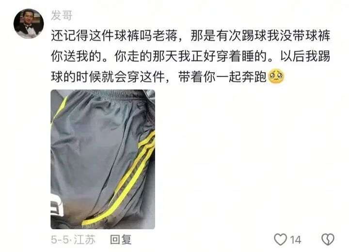 粉色围巾, 今年的葡萄, 块场地产生